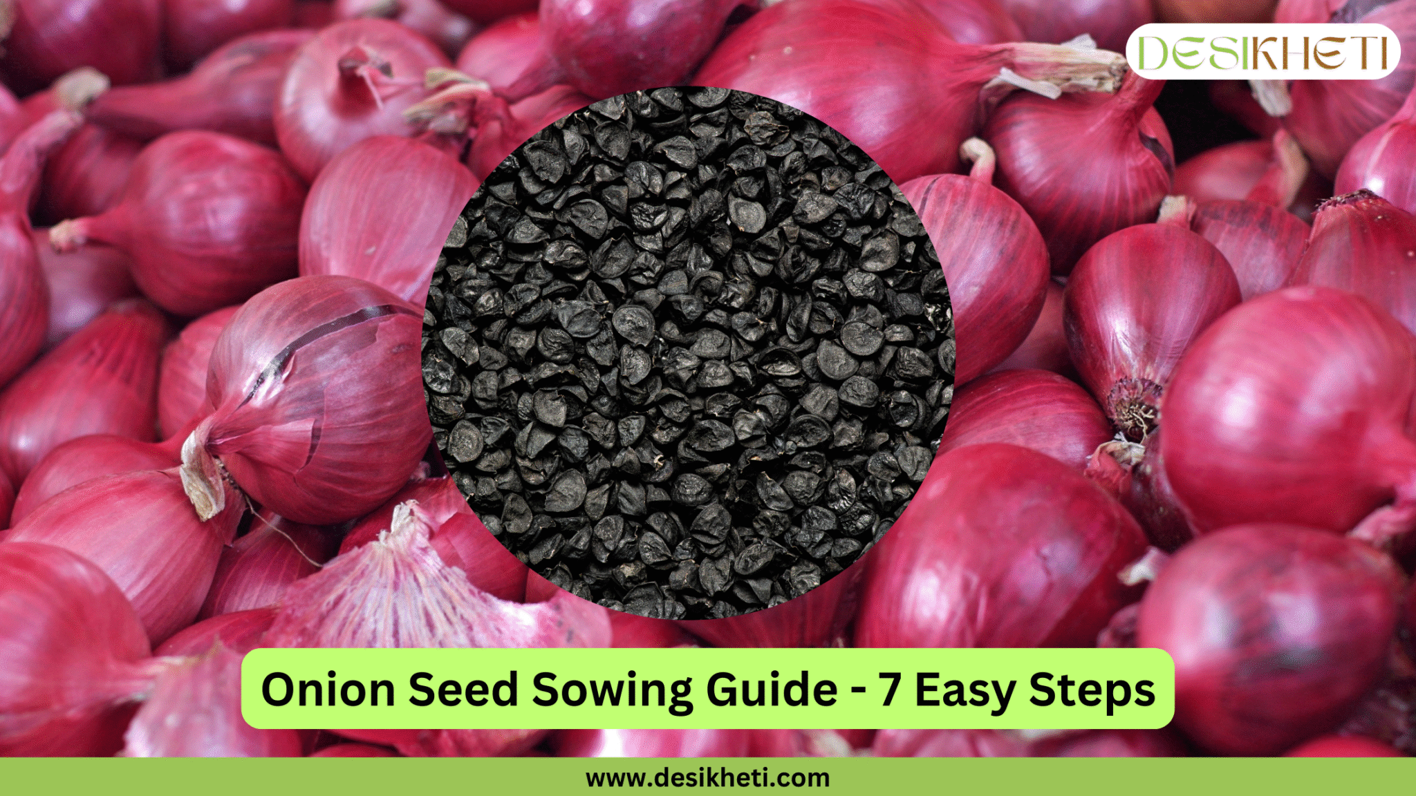 Premium Onion Seeds