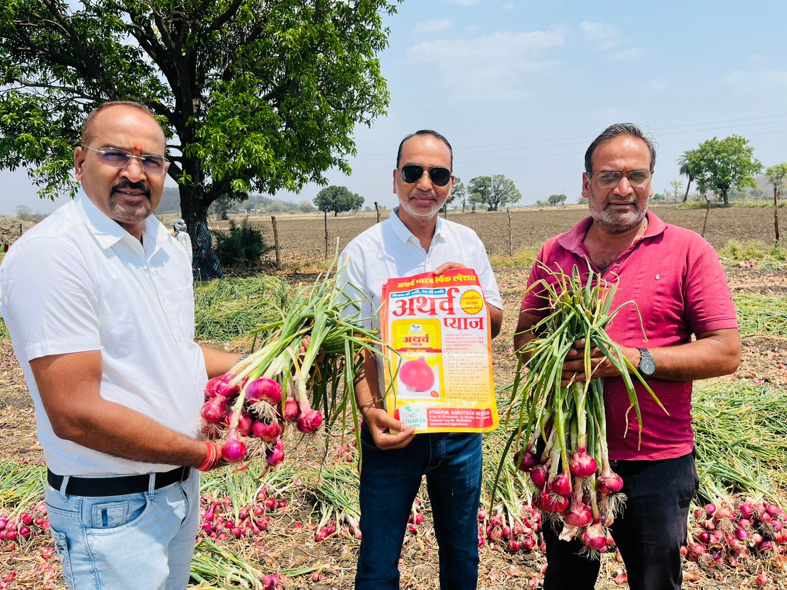 Onion Farm