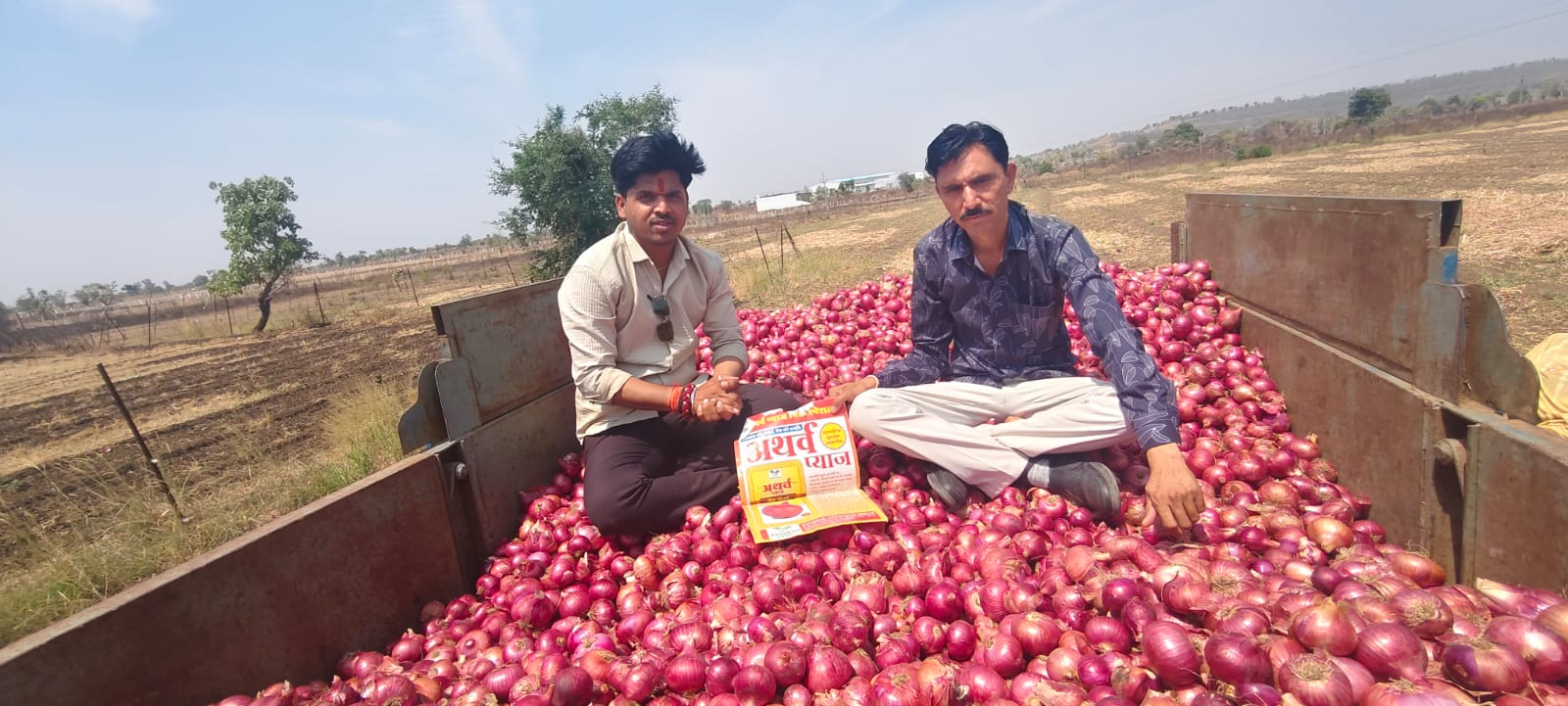 Onion Farm