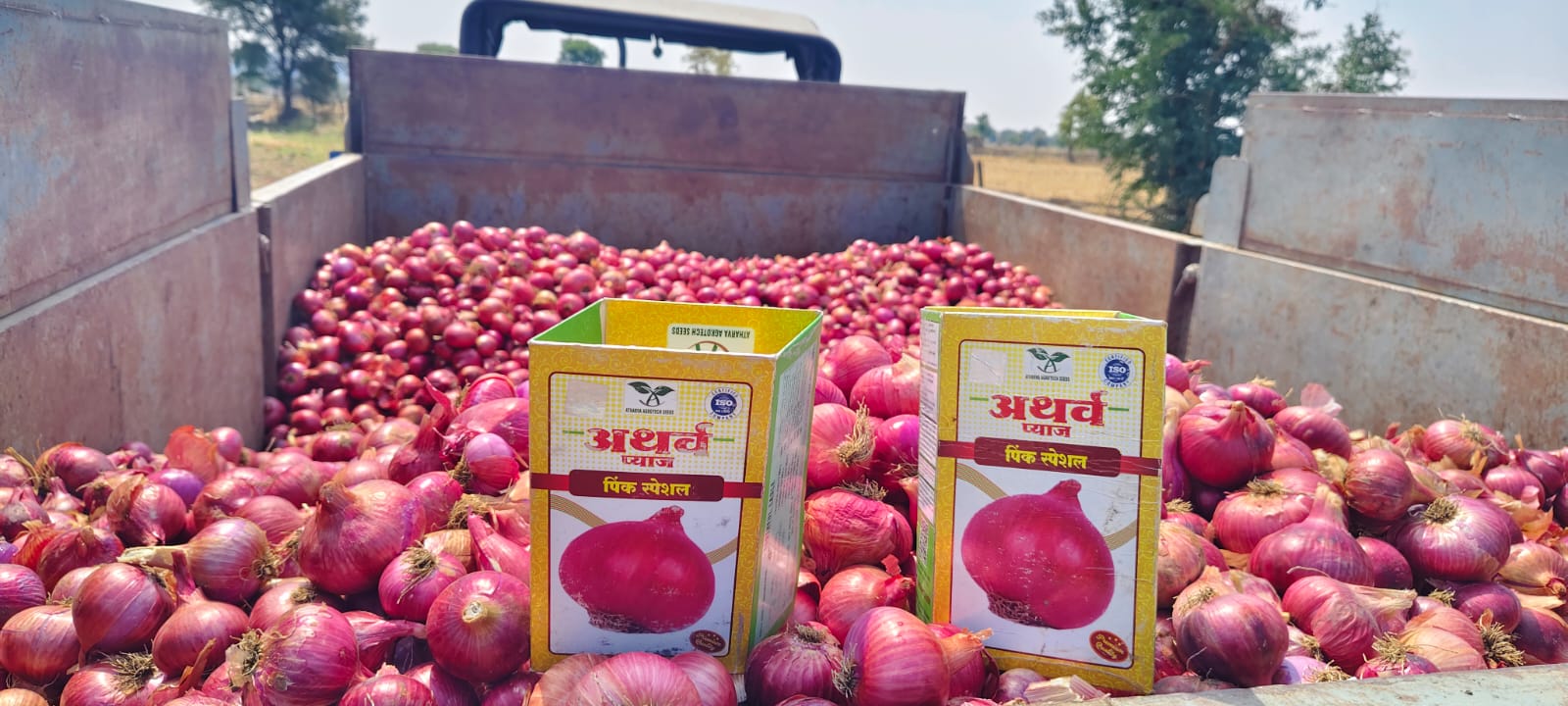 Onion Farm