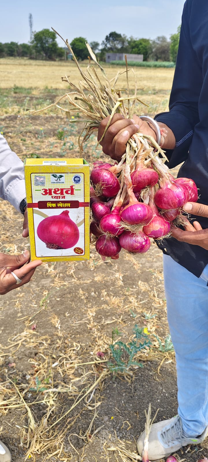 Onion Farm