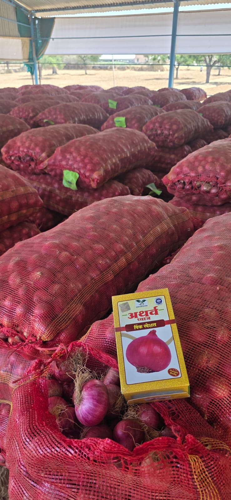 Onion Farm