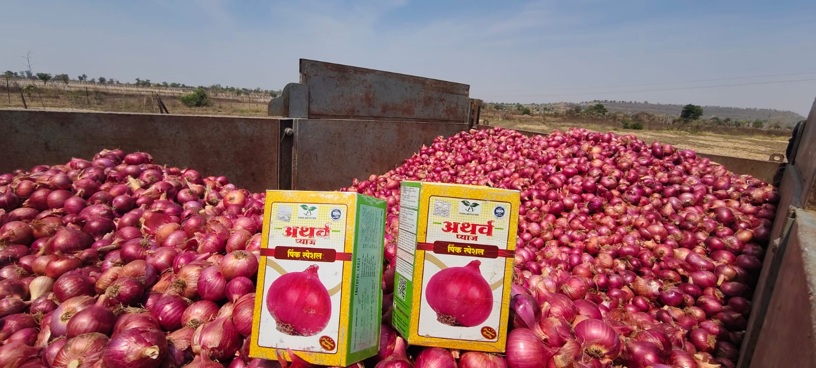 Onion Farm