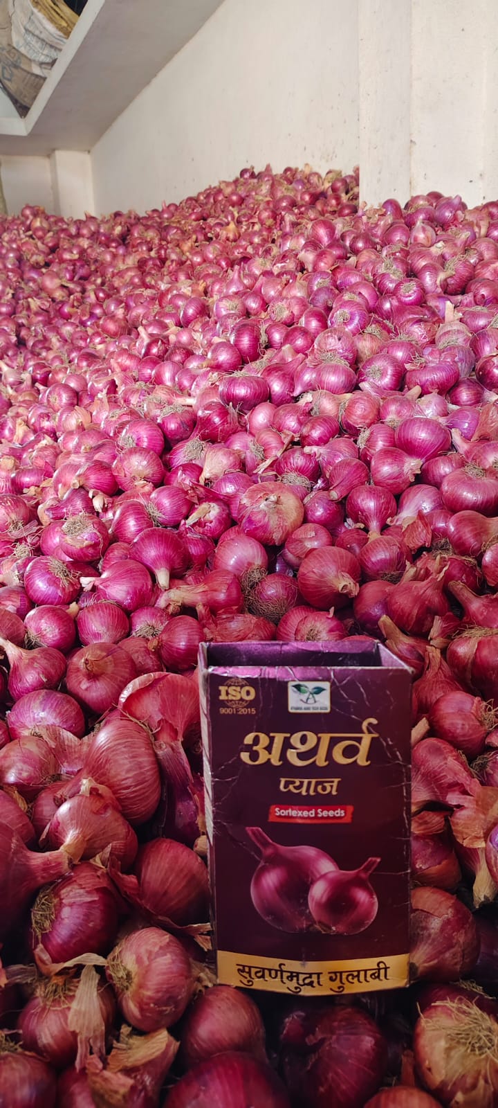 Onion Farm